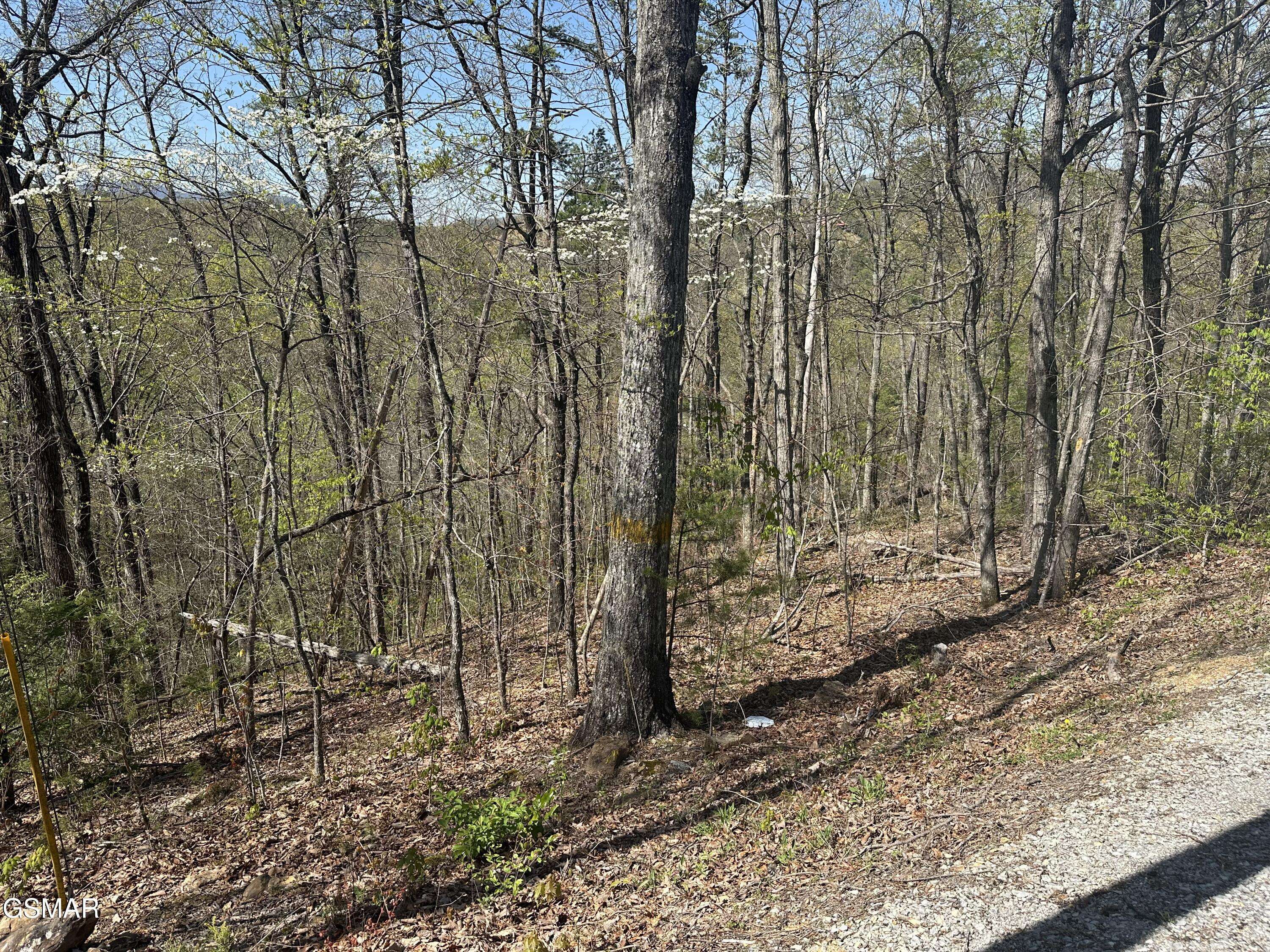 Pigeon Forge, TN 37862,1532 Mountain Dreams Way WAY