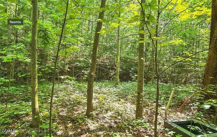 Sevierville, TN 37862,Lot 134 Long Rifle Rd RD