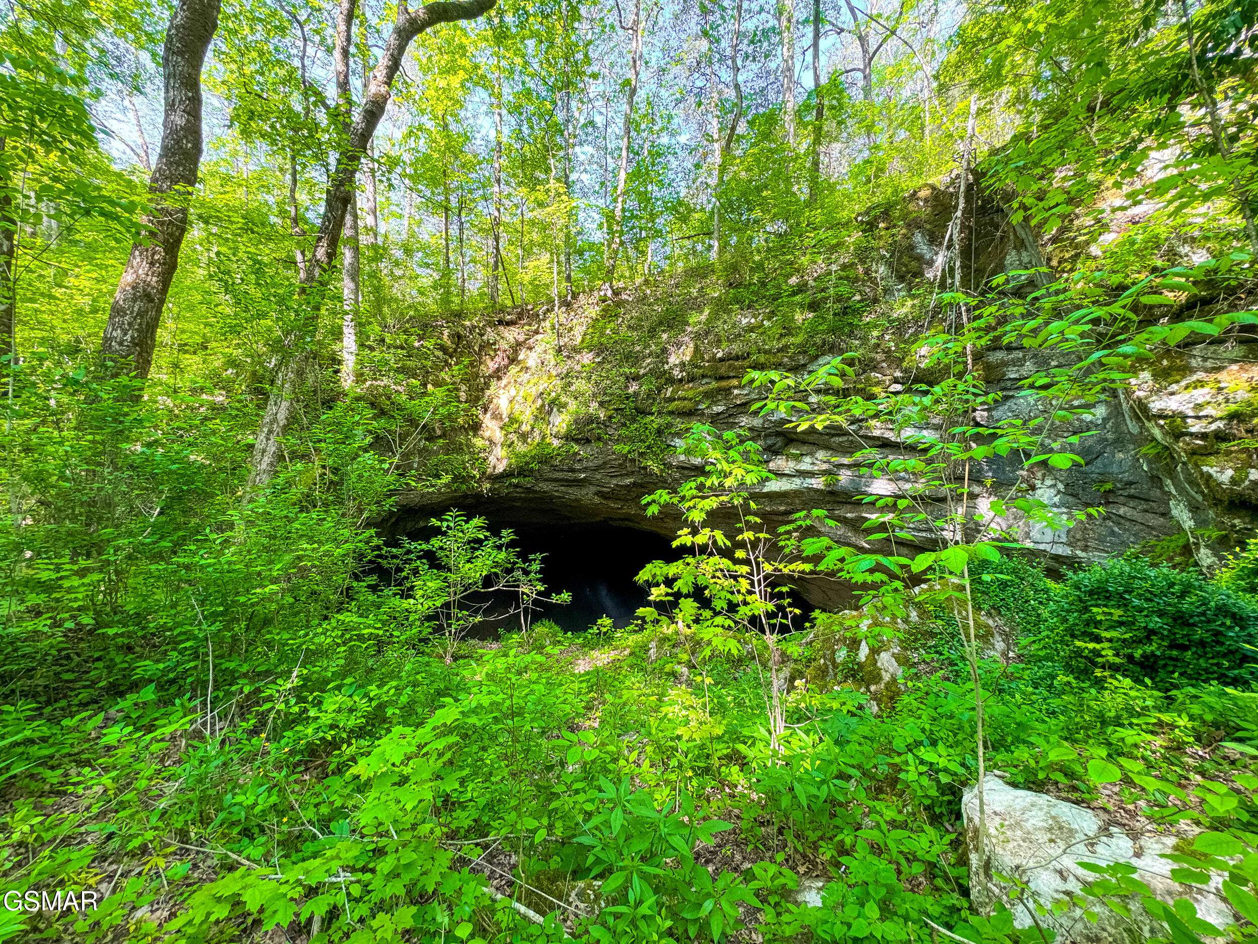 Strawberry Plains, TN 37871,Tract 2&3 Thorn Grove Pike