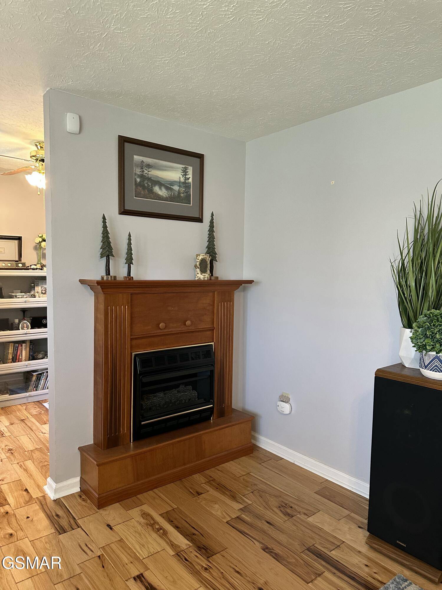 Baneberry, TN 37890,267 Back 9 DR
