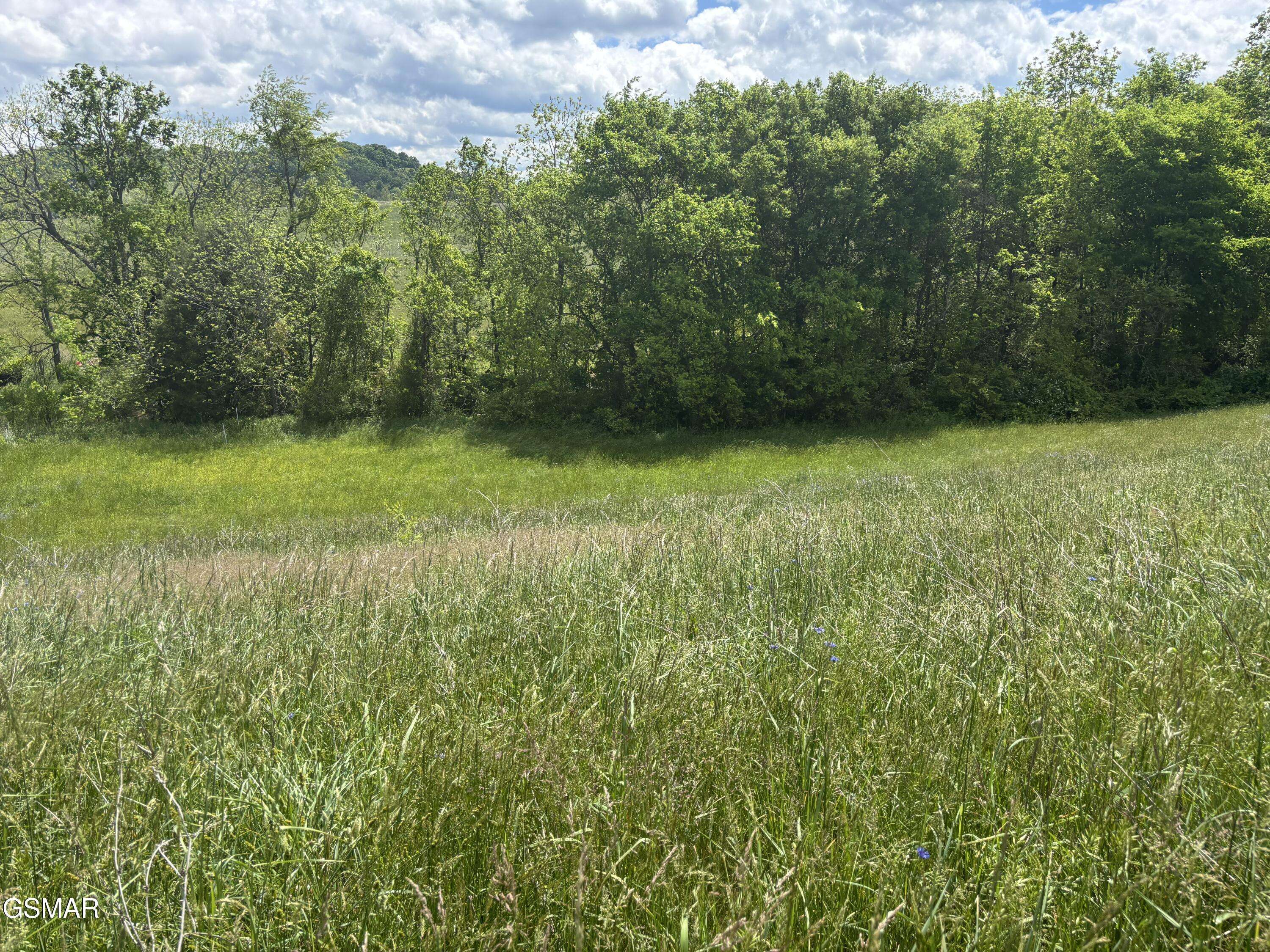Greeneville, TN 37743,Lot 19R Little Meadow Creek RD
