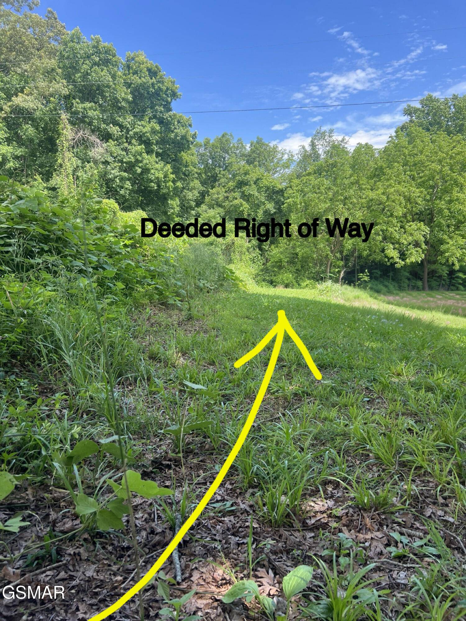 New Market, TN 37820,TBD Friends Station Rd RD