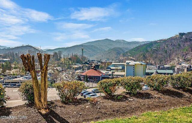 Gatlinburg, TN 37738,102 Baskins Creek Bypass 104