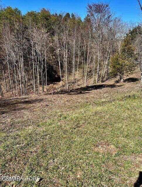 Sevierville, TN 37876,Lot 1A 2009 Scott Street