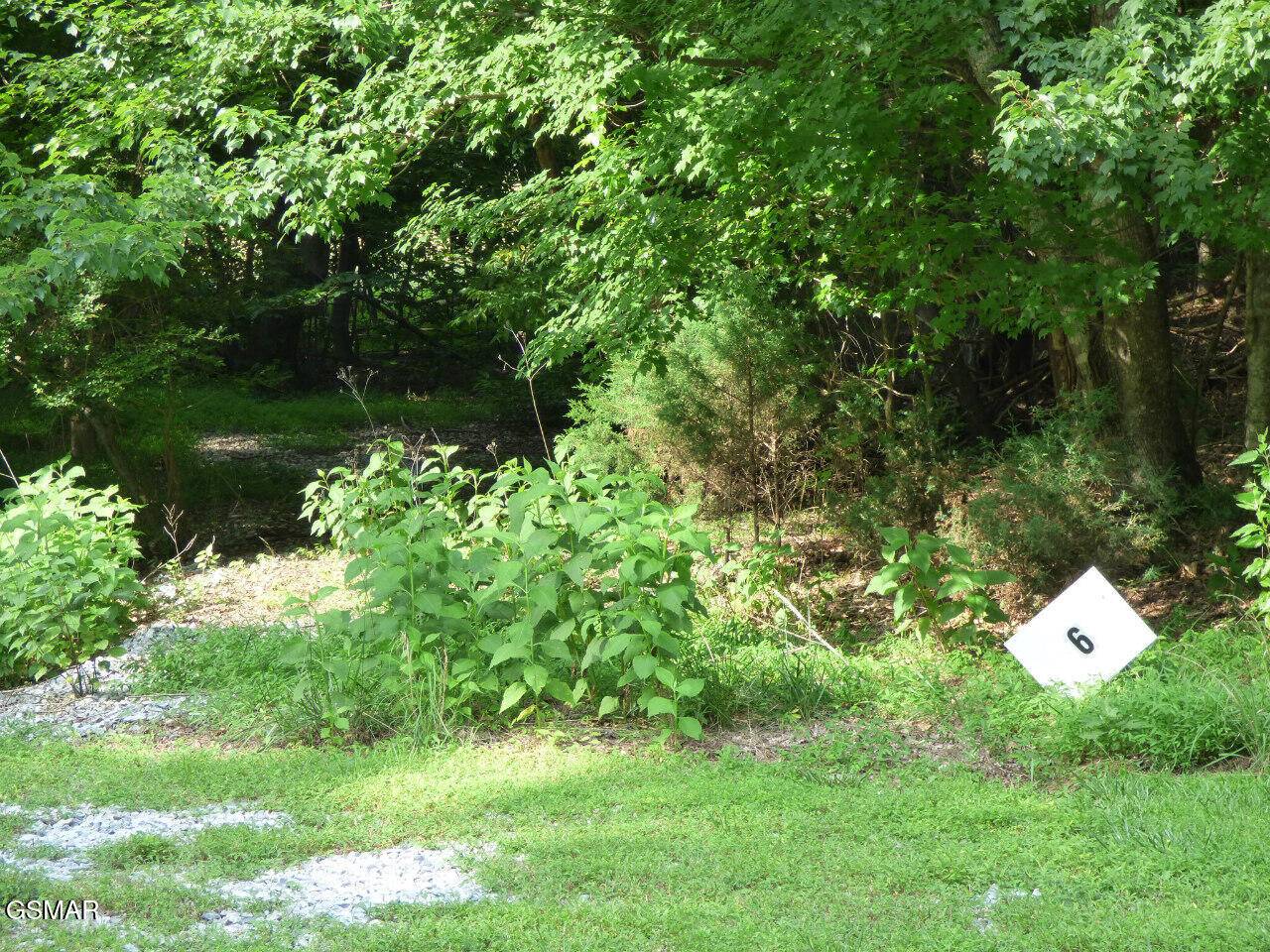 Dandridge, TN 37725,Lot 6 Cove Springs DR