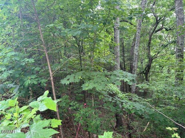 Sevierville, TN 37862,2808 Grist Mill LN