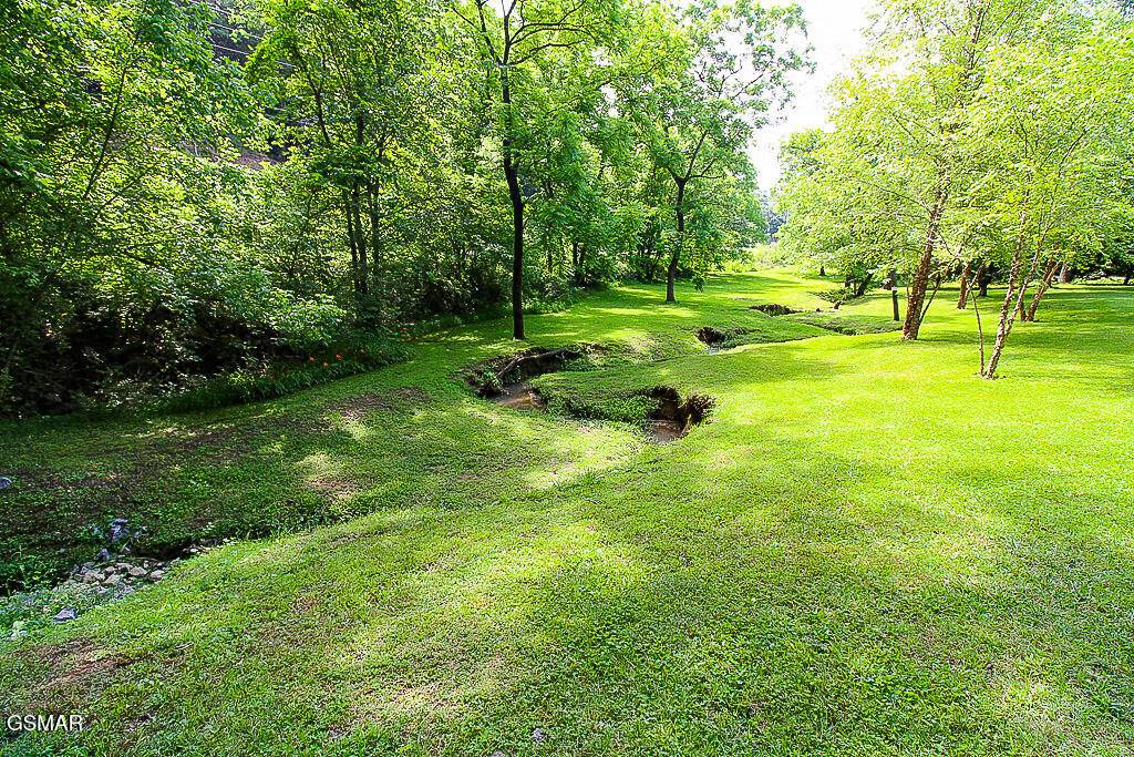 Sevierville, TN 37876,1964 Goose Gap RD