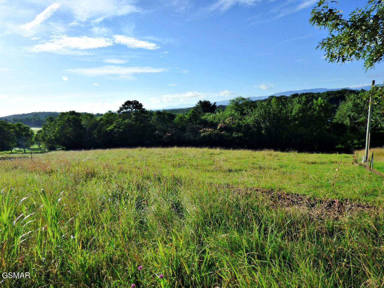 Dandridge, TN 37725,Lot 13F Sunnydale CIR