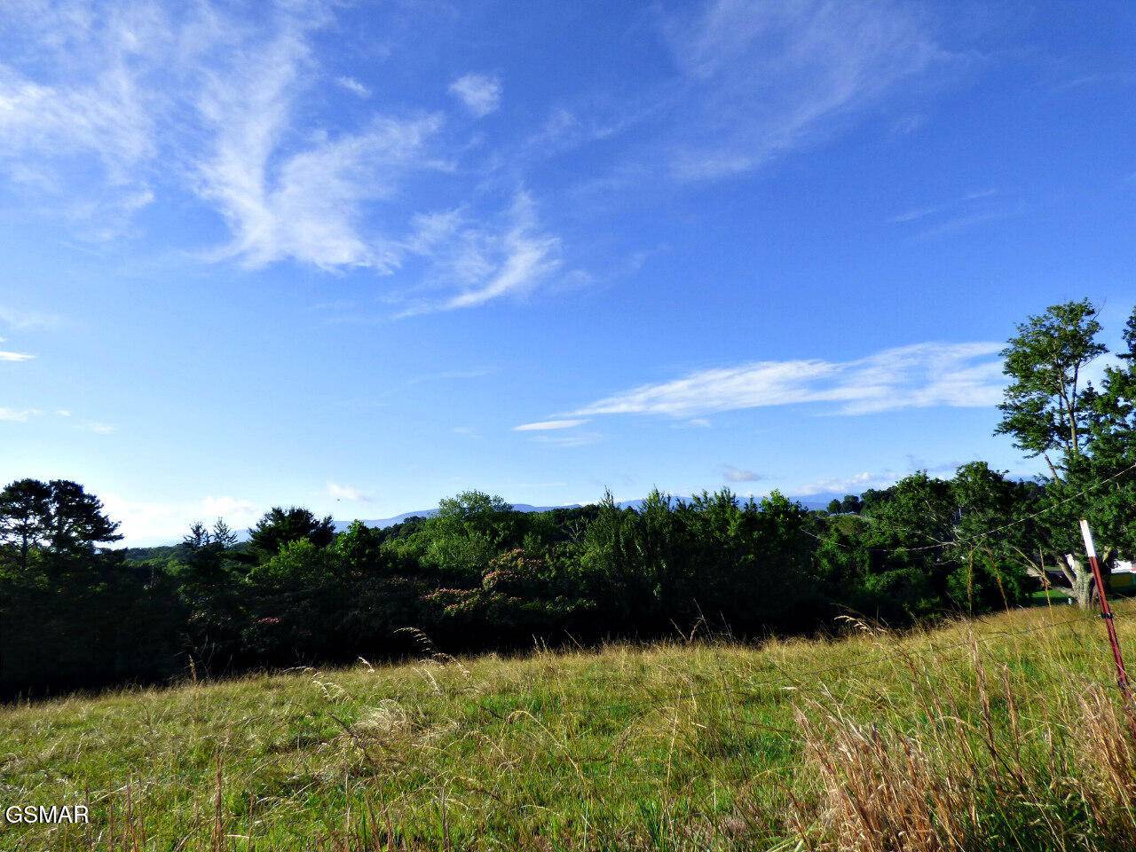 Dandridge, TN 37725,Lot 13F Sunnydale CIR