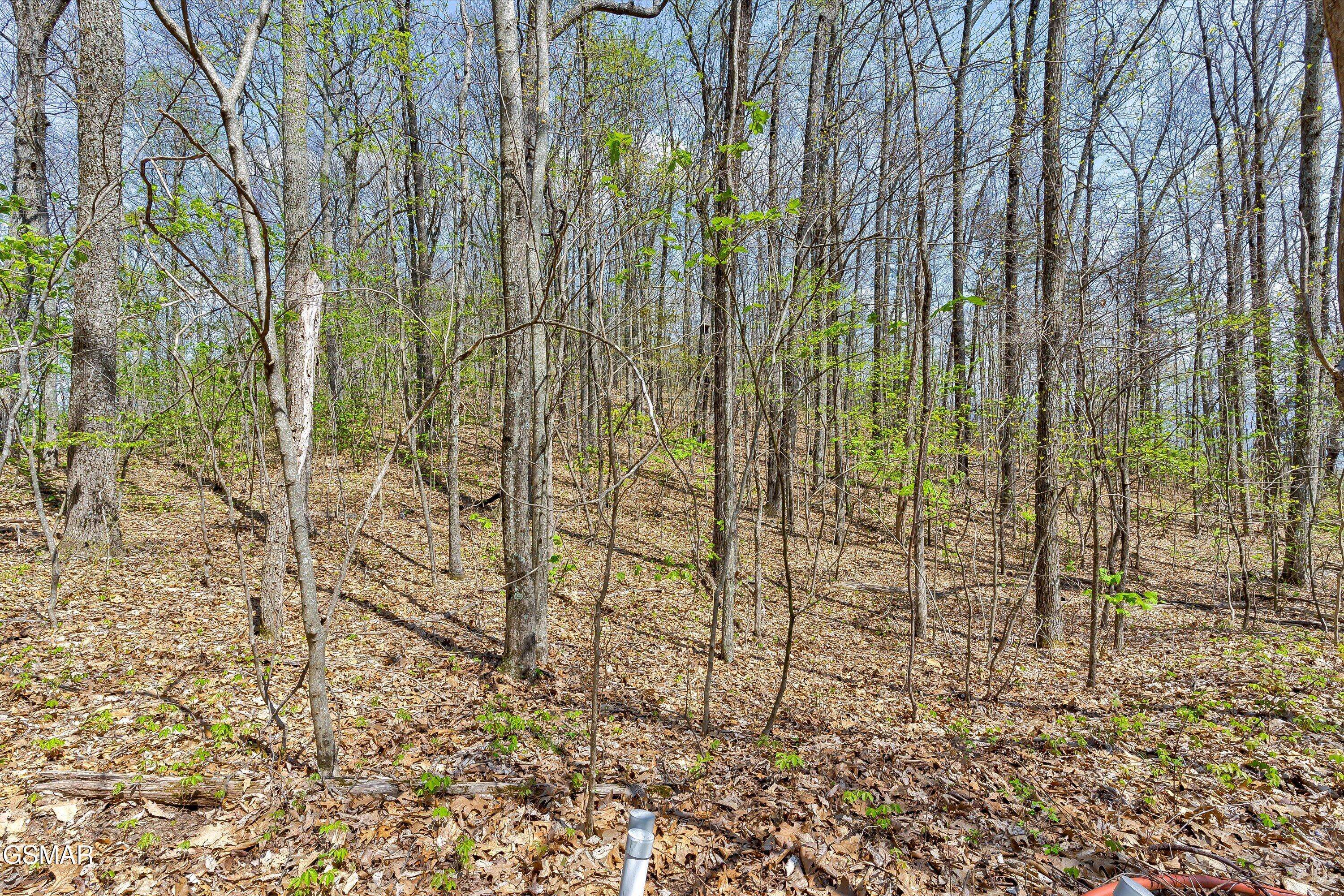 Sevierville, TN 37862,Lot 125E Settlers View LN