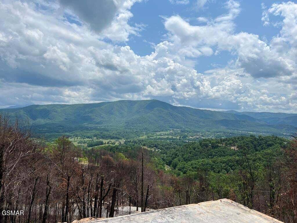 Sevierville, TN 37862,2518 Hatcher Mountain RD