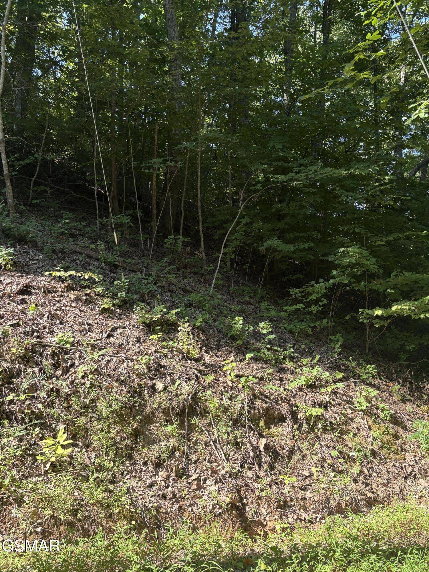 Sevierville, TN 37862,0 Castle Rise WAY