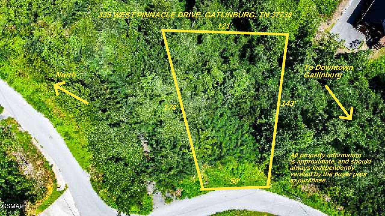 Gatlinburg, TN 37738,335 W Pinnacle DR