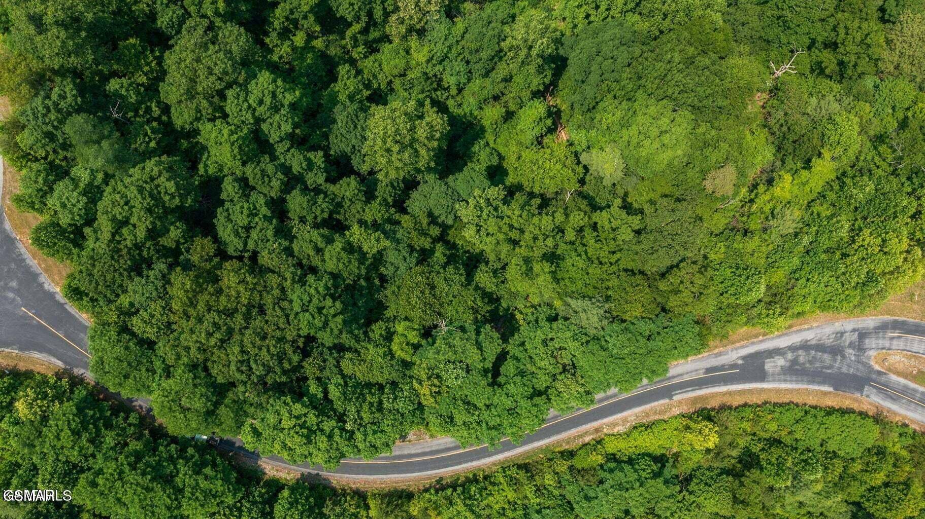 Sevierville, TN 37862,Lot 60W Longhunter LN