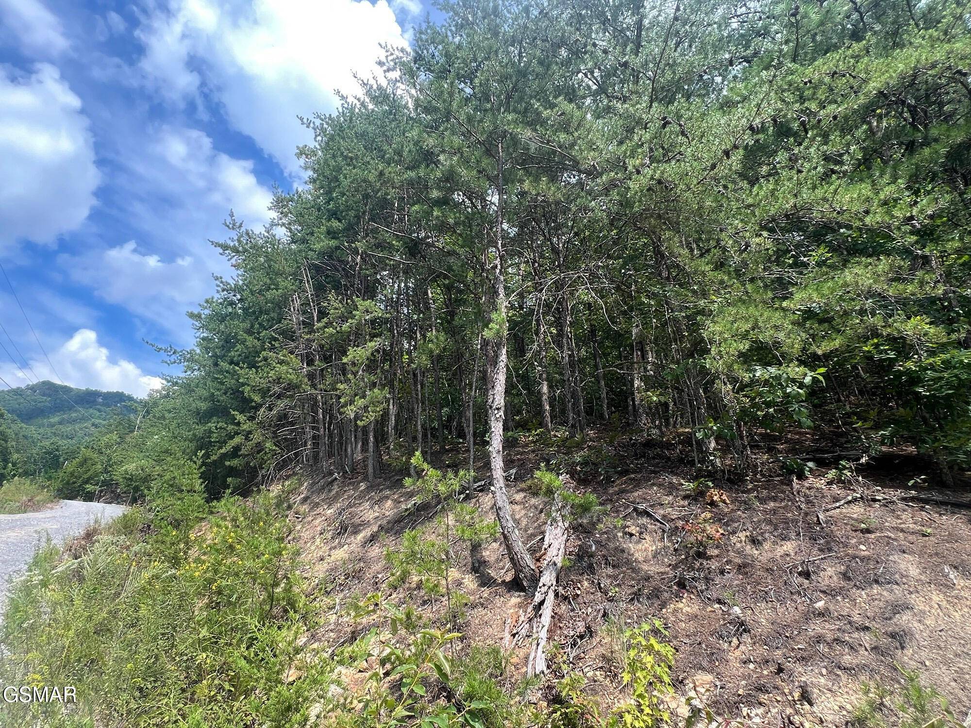 Cosby, TN 37722,992 Bogard Creek RD