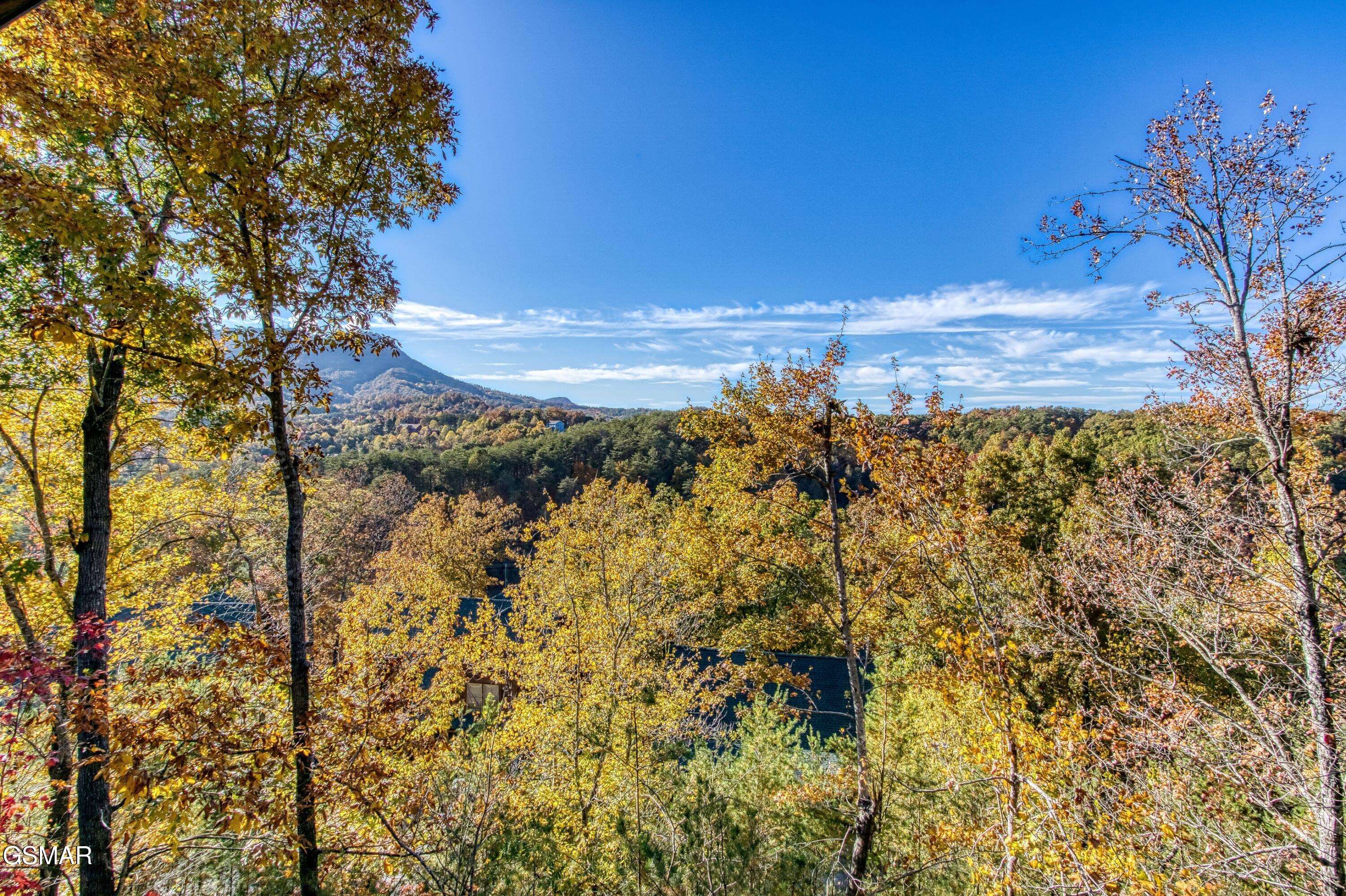 Sevierville, TN 37876,1955 Cougar Crossing WAY