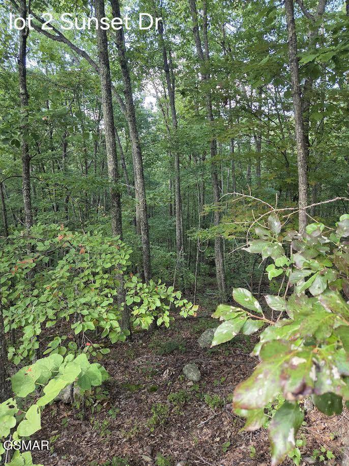 Sevierville, TN 37876,Lot 2 Sunset DR