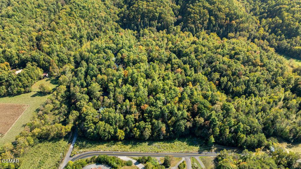 Sevierville, TN 37862,Lot 3 Holly Lane