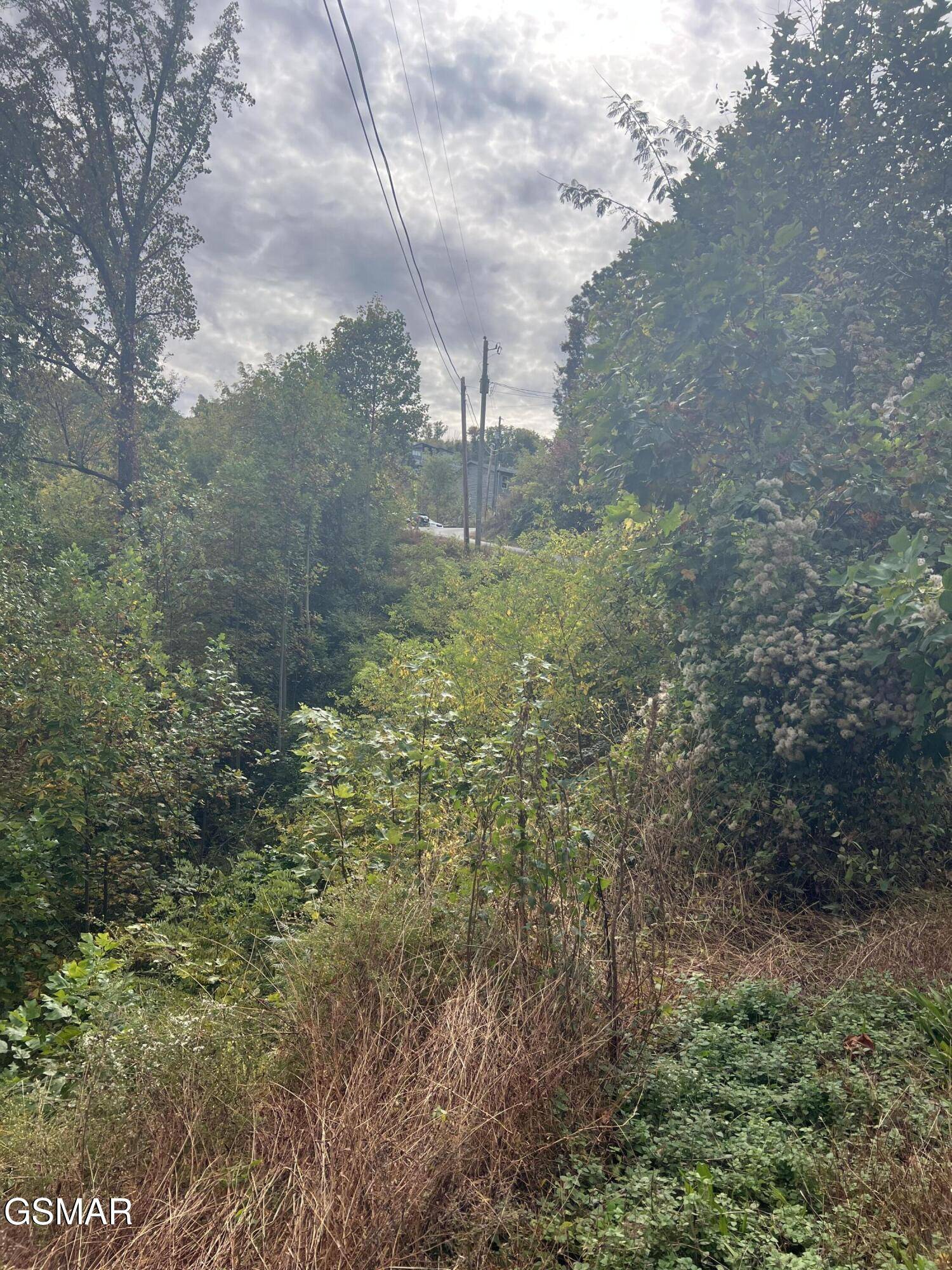 Gatlinburg, TN 37738,Lot 507 Pinecrest DR