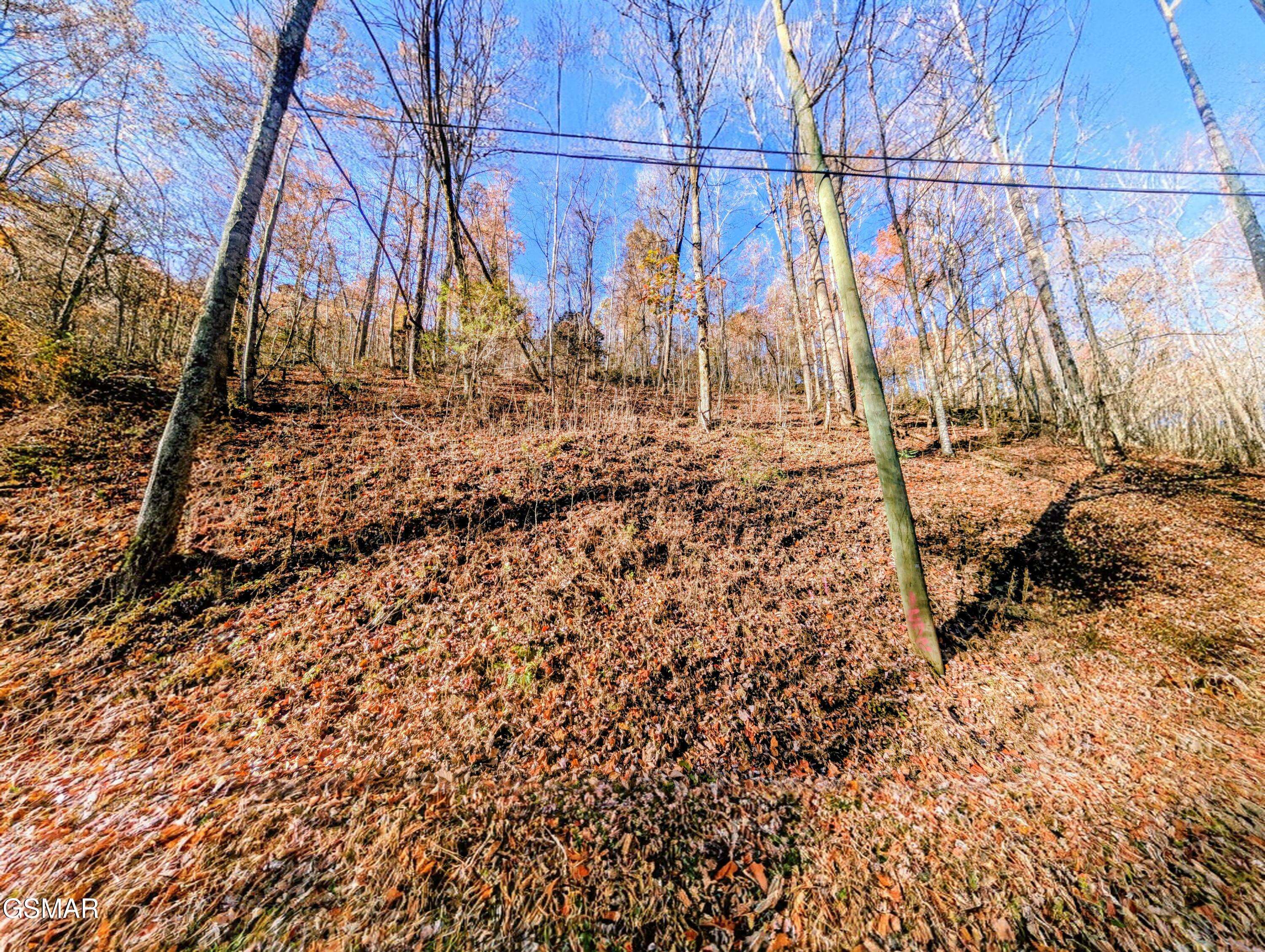 Sevierville, TN 37876,Lot 1272 Raymond Hollow RD