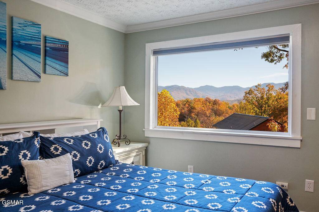 Gatlinburg, TN 37738,1106 Tanrac TRL