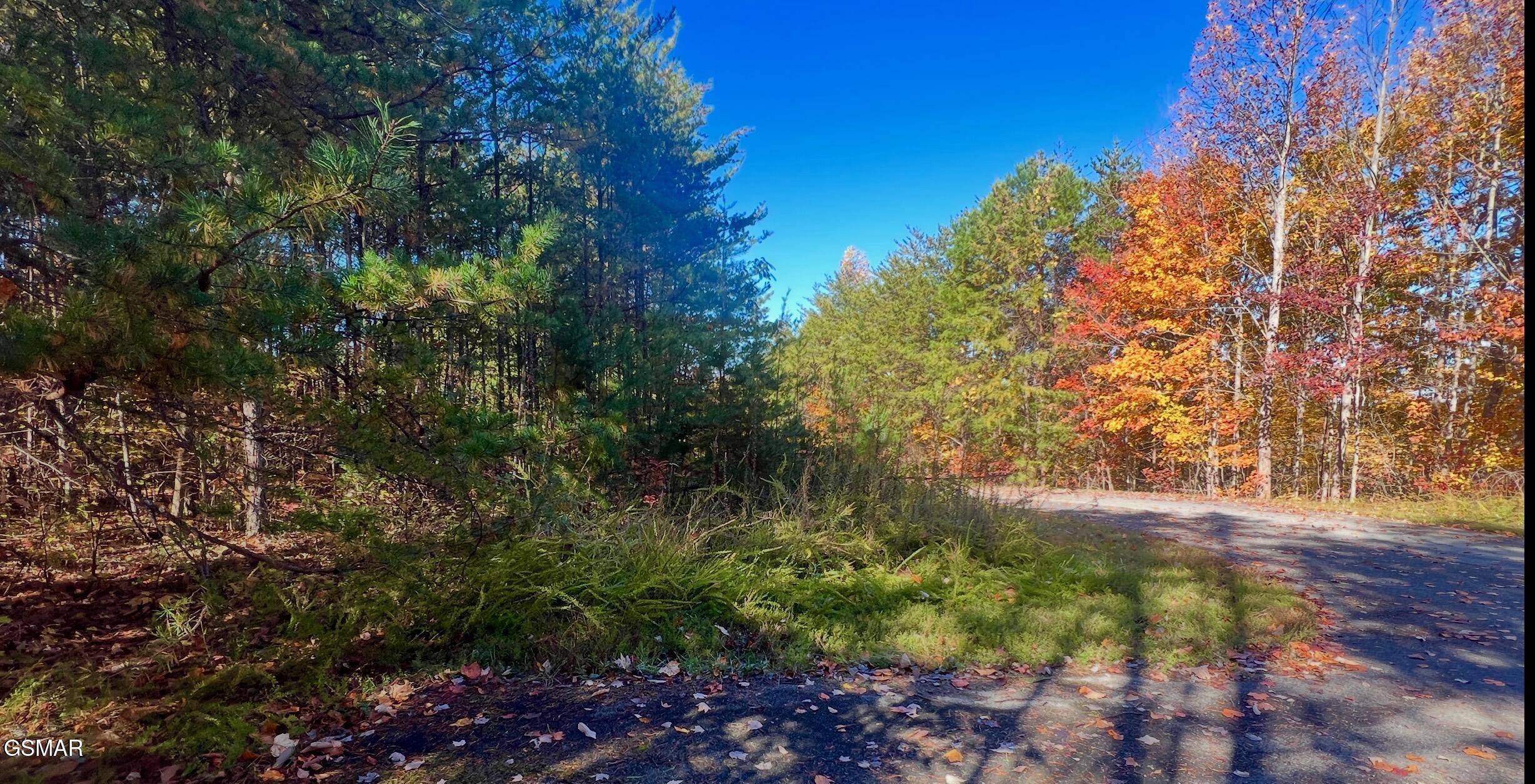 Sevierville, TN 37876,0 Sassafras Trail TRL