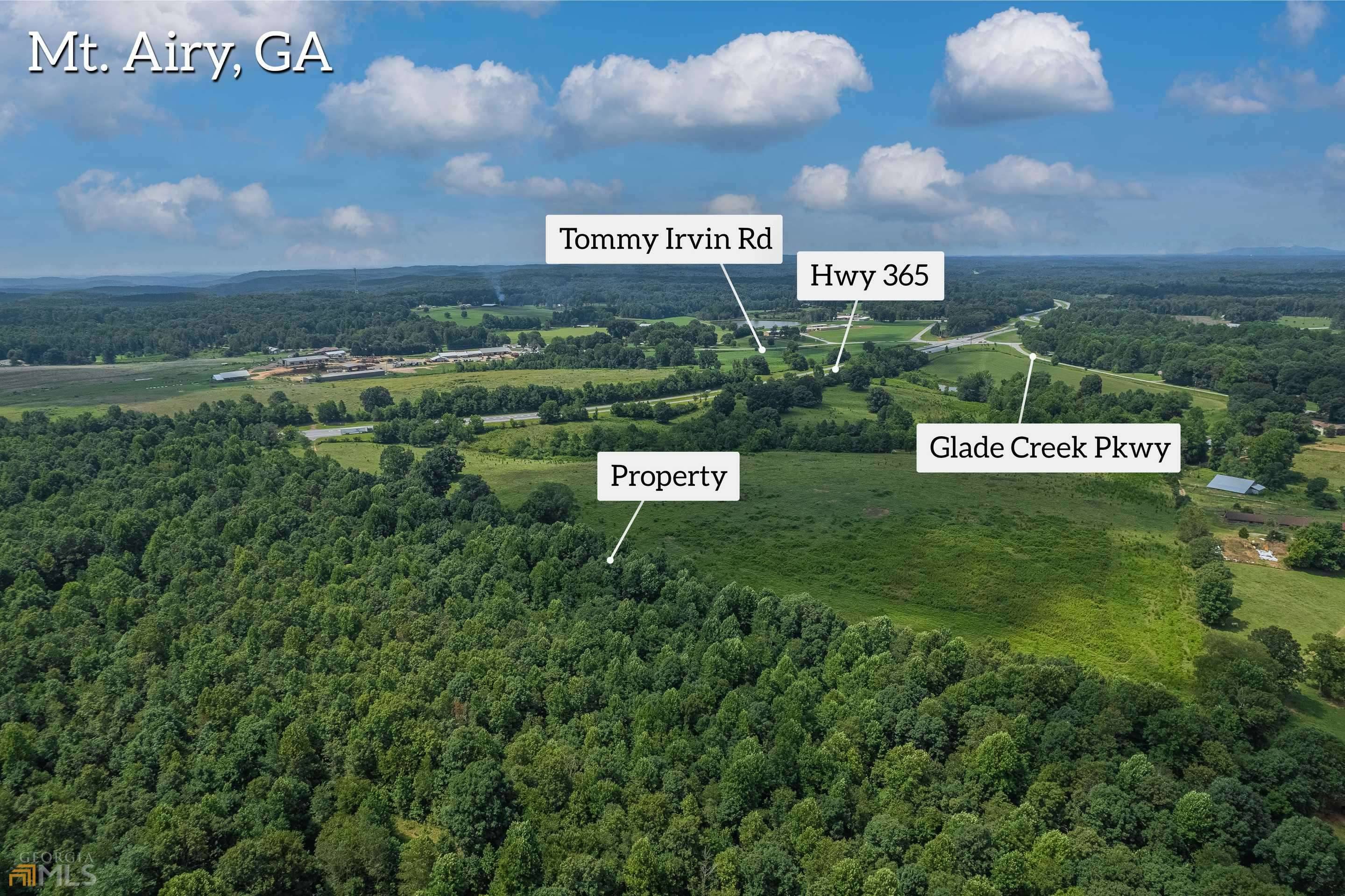 Mount Airy, GA 30563,0 S Highway 365