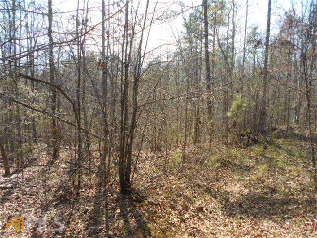 Hiram, GA 30141,0 Tract Ii Nebo RD