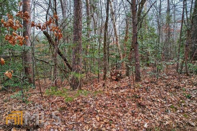 Hiawassee, GA 30546,LOT 9 Cedar Cliff