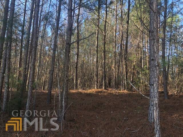 Monticello, GA 31064,0 Lot #32 Van Morrison