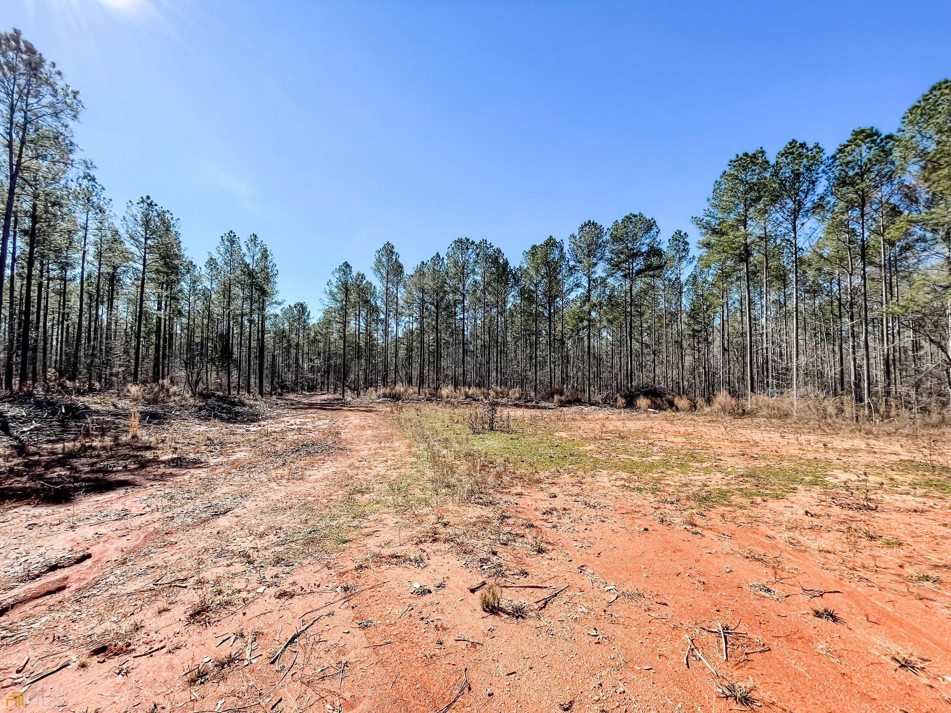 Monticello, GA 31064,45 ACRES Bailey RD #TRACT 5