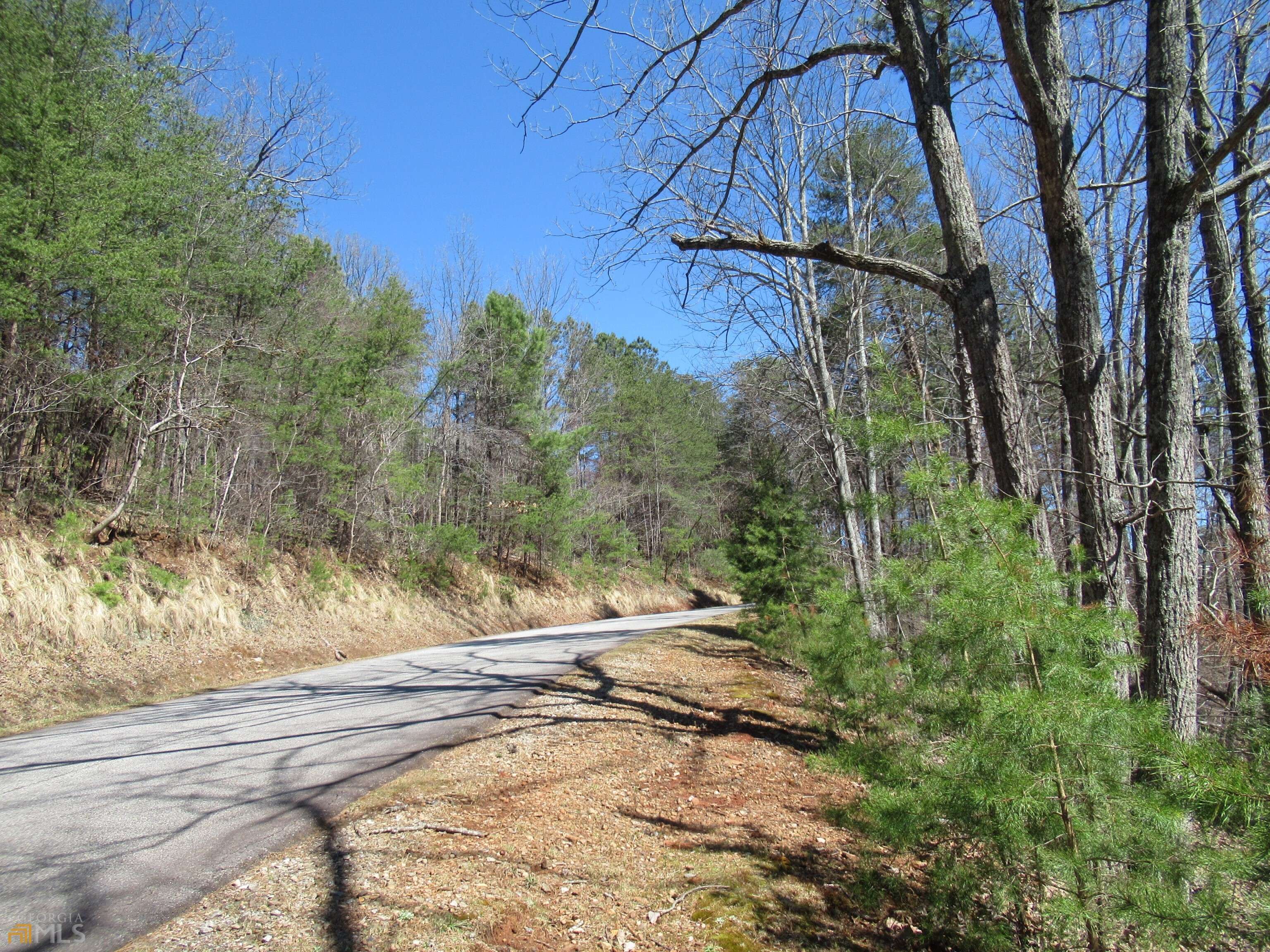 Dahlonega, GA 30533,LOT 33 Crown Mountain