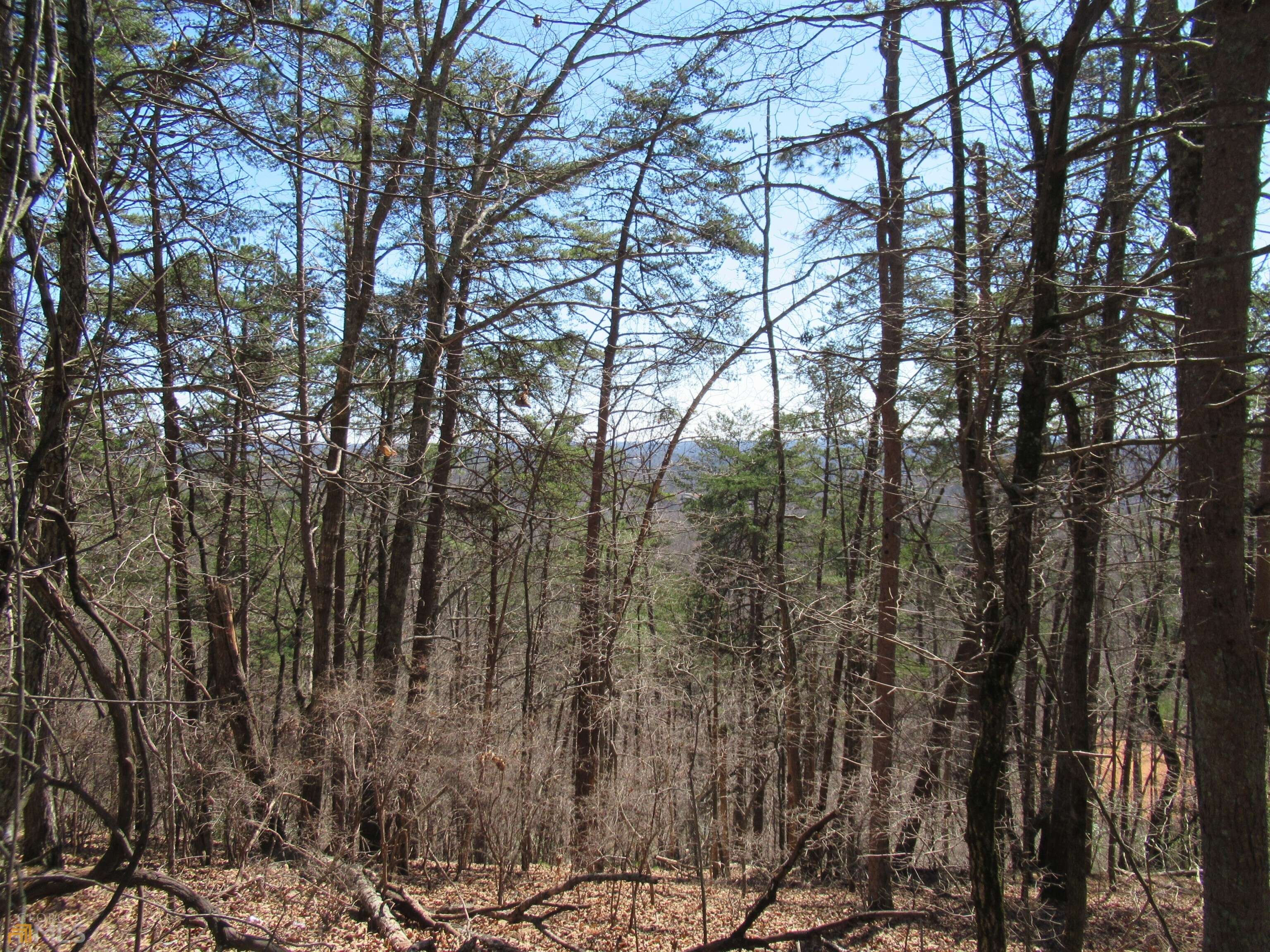 Dahlonega, GA 30533,LOT 33 Crown Mountain