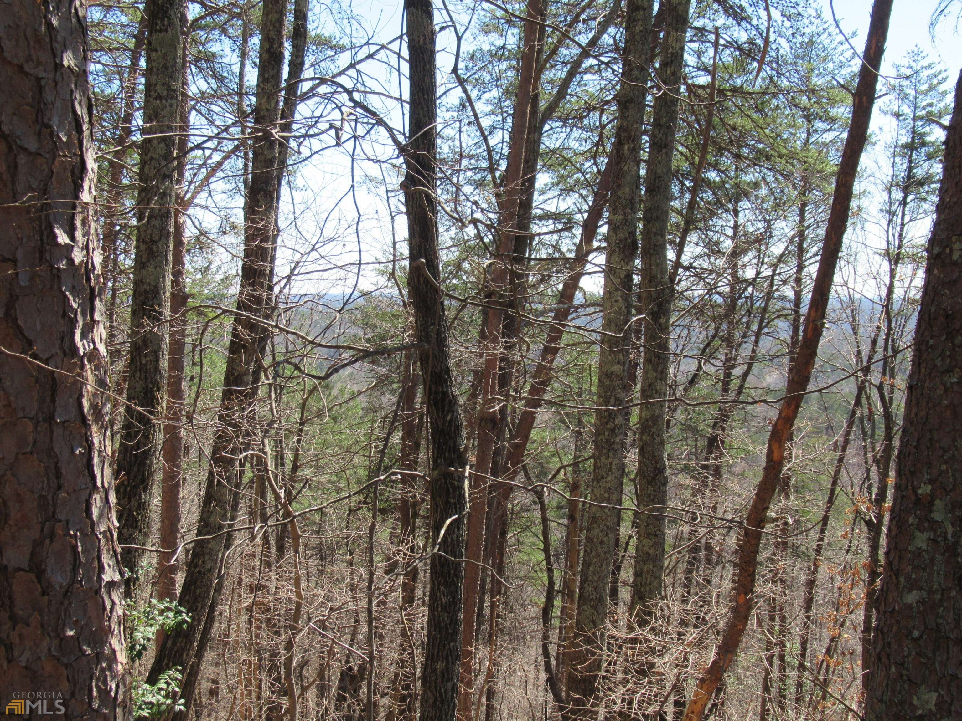 Dahlonega, GA 30533,LOT 33 Crown Mountain WAY