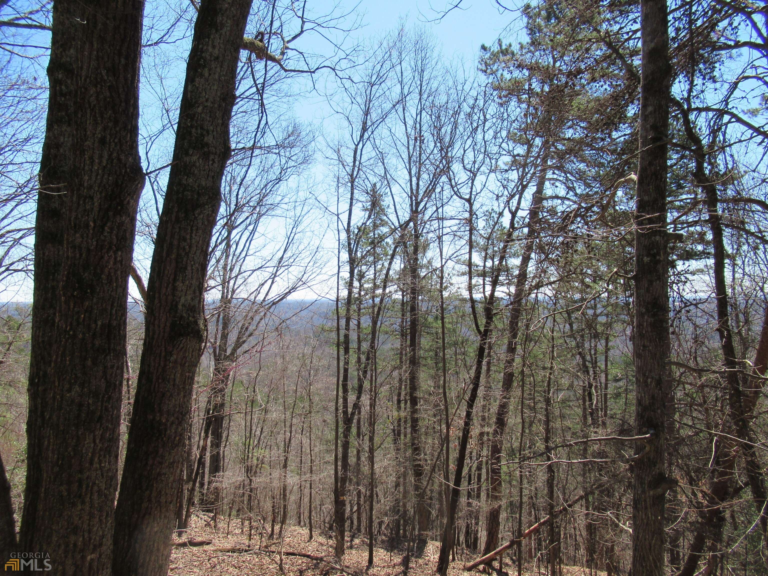 Dahlonega, GA 30533,LOT 33 Crown Mountain WAY