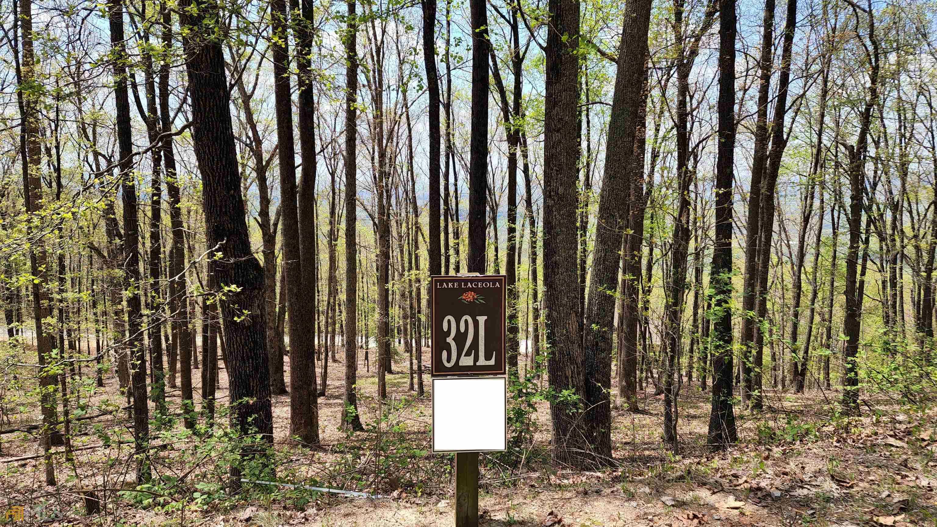 Cleveland, GA 30528,LOT 32L Mountainside