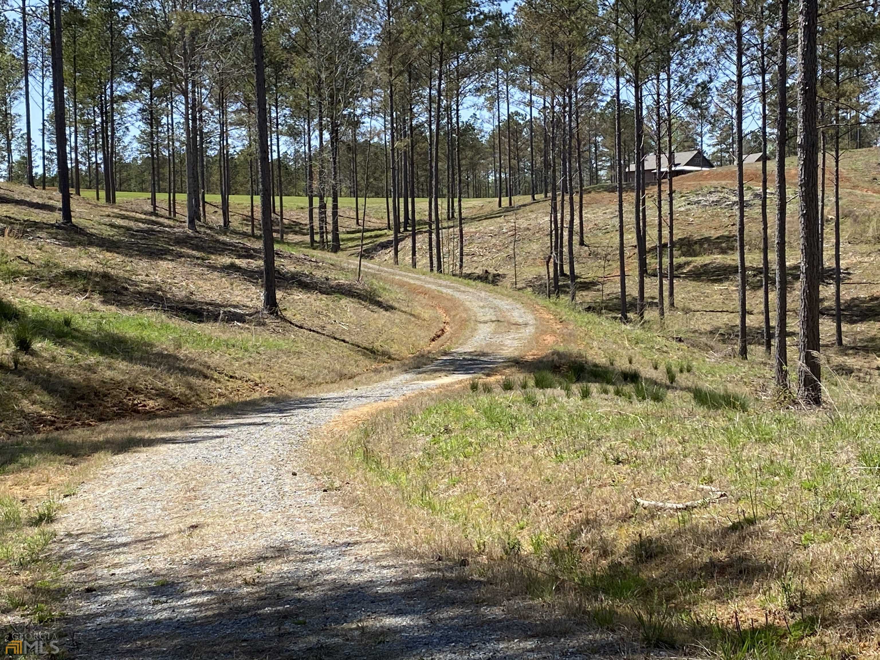 Ellijay, GA 30540,LOT 10 High River