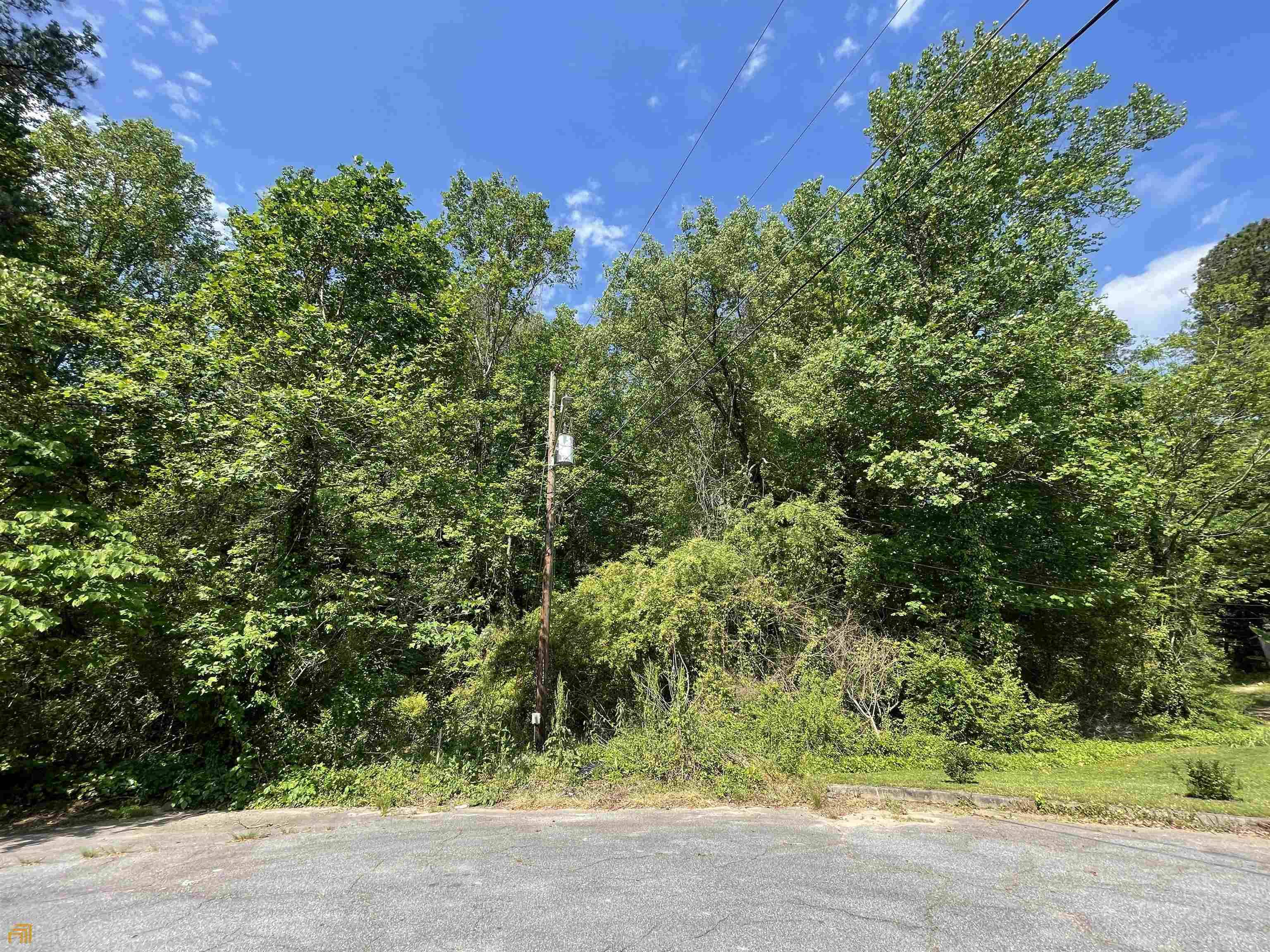 Lawrenceville, GA 30046,0 Black Oak