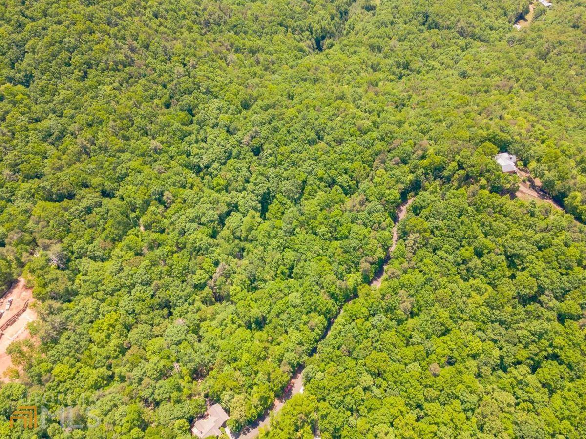 Ellijay, GA 30540,LOT 22 Dover Highland