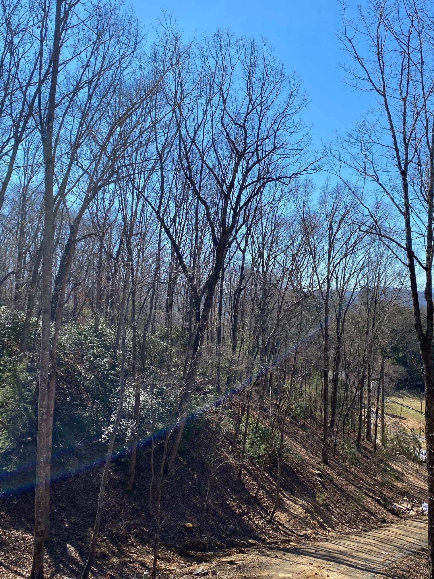 Morganton, GA 30560,LOT 39 High Meadows