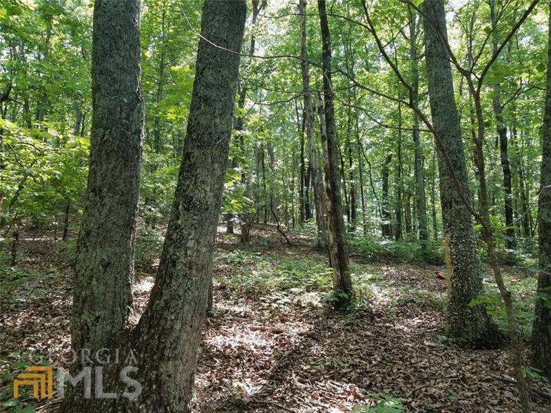 Ball Ground, GA 30107,0 Byers DR