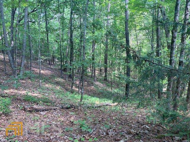 Chatsworth, GA 30705,TR #4 Woodring Branch RD