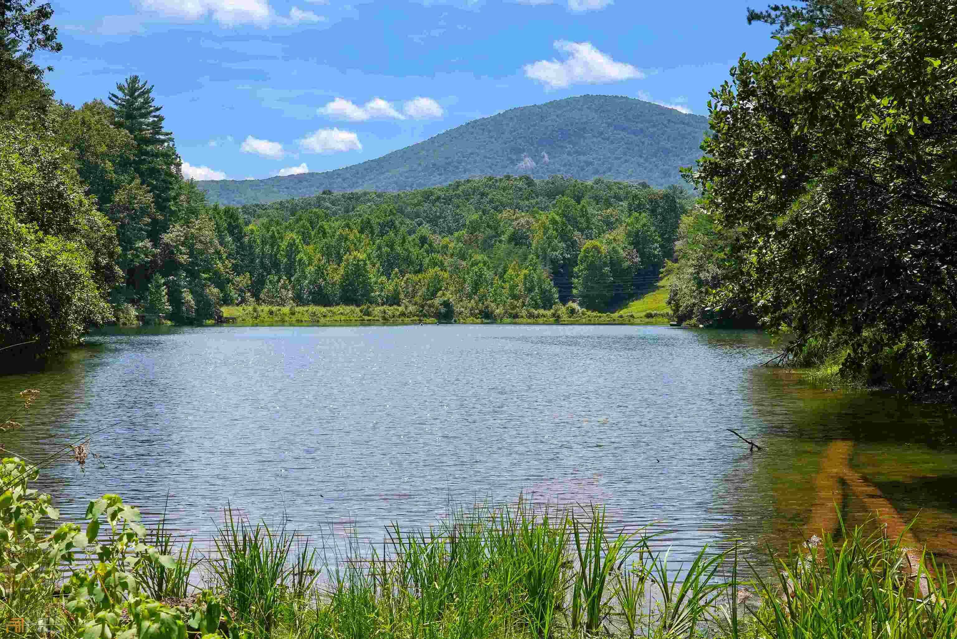 Sautee Nacoochee, GA 30571,0 Pristine Forest