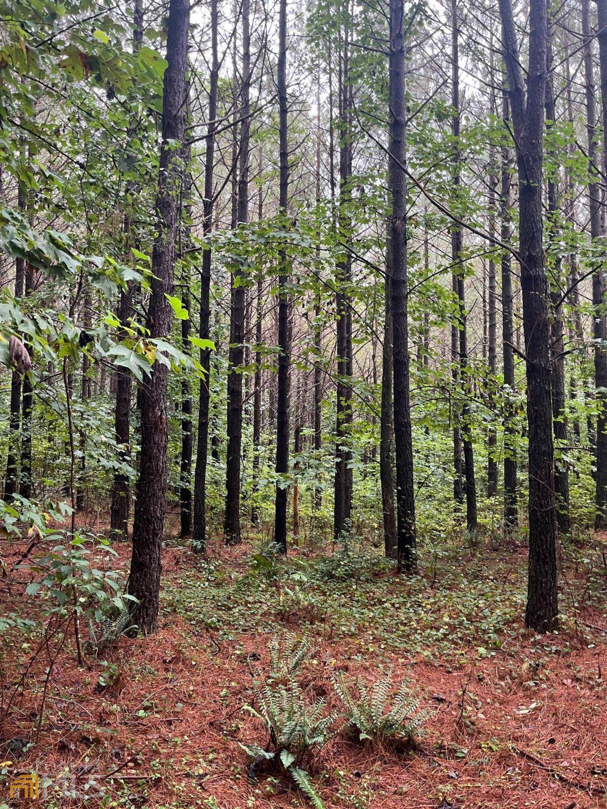Ellijay, GA 30536,0 Fox Paw Leaf LN