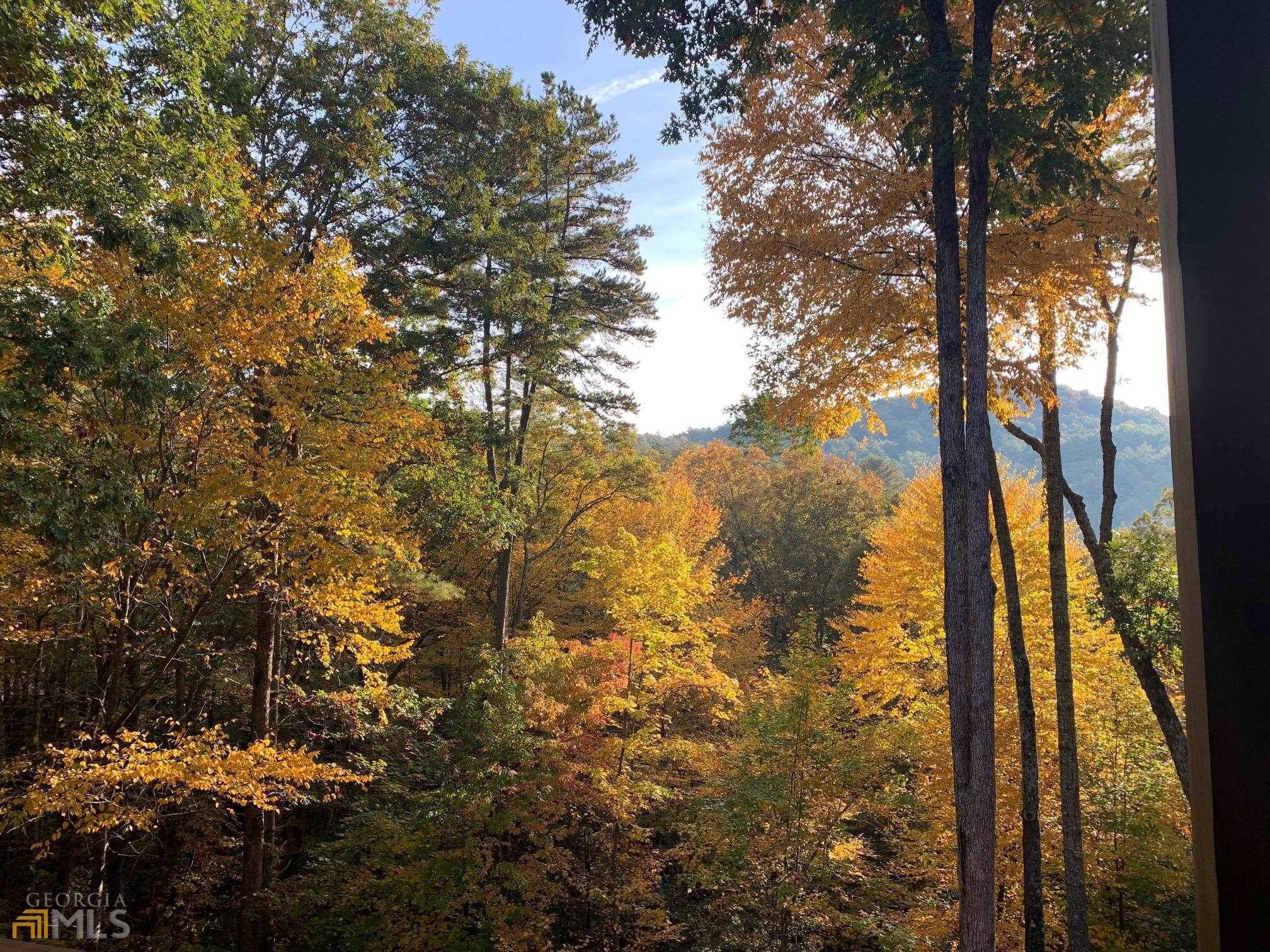 Cherry Log, GA 30522,128 Forest Branch