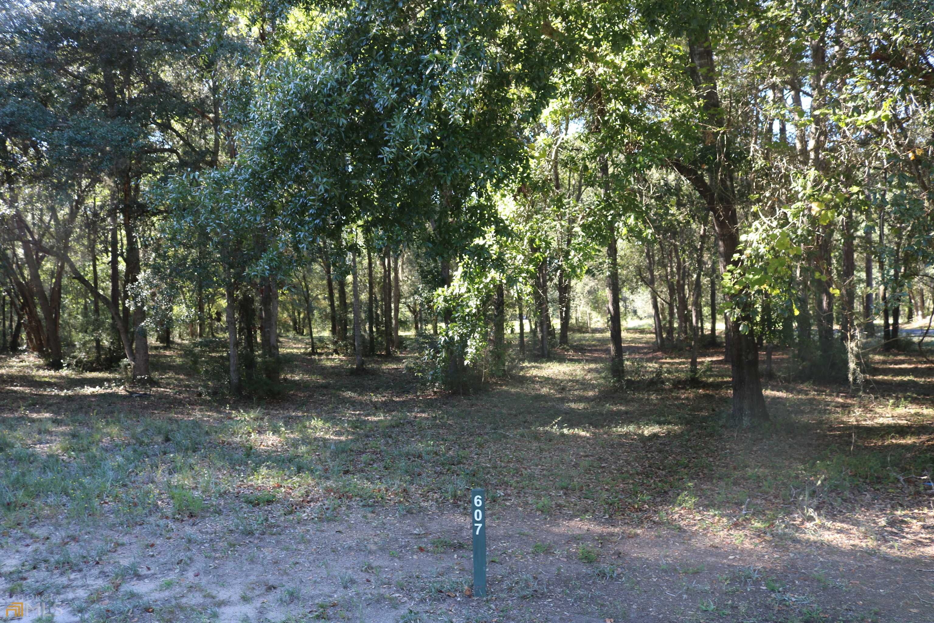 Townsend, GA 31331,LOT 607 Coopers Landing DR