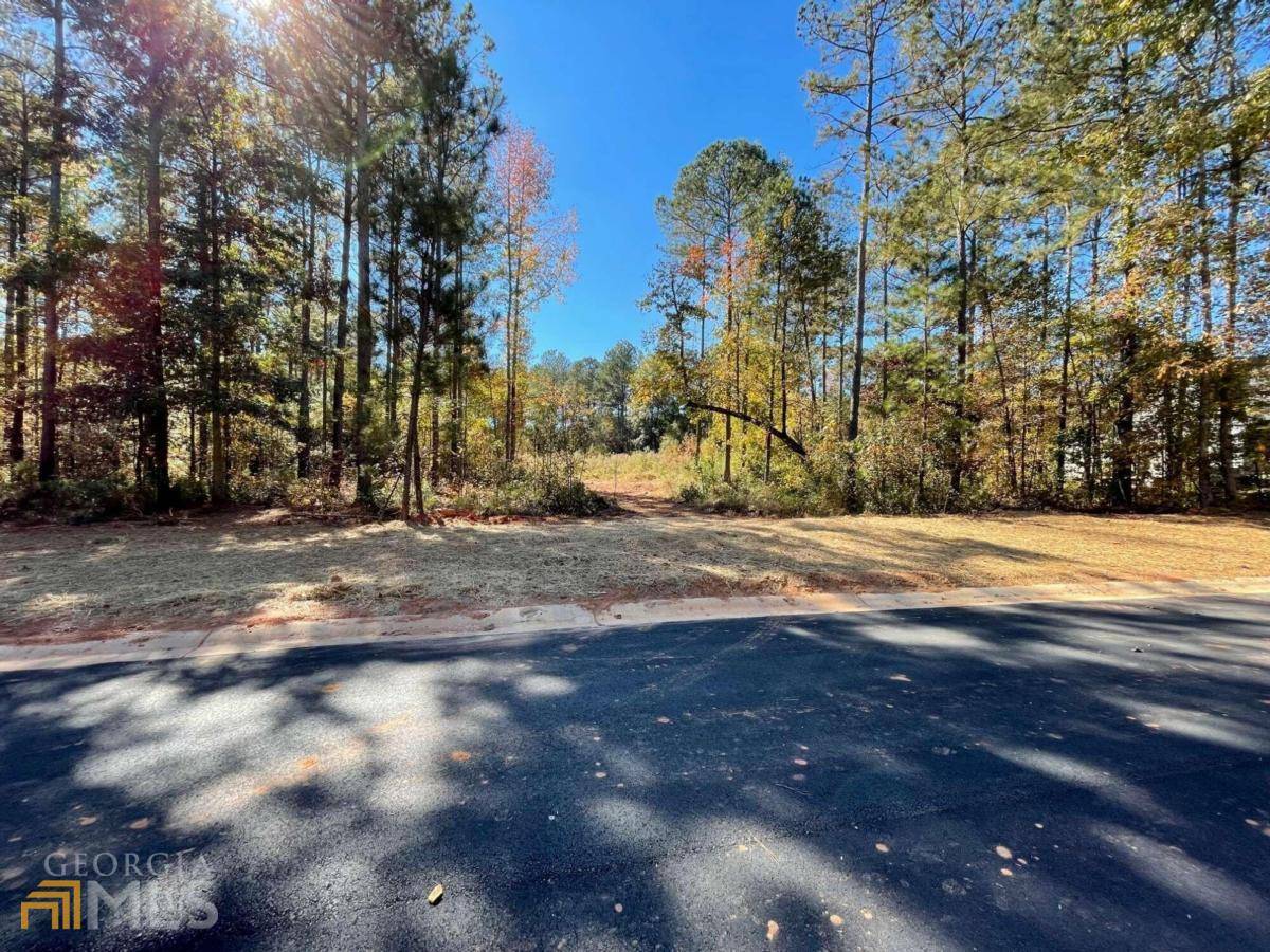 Hull, GA 30646,LOT12C Spratlin Mill DR