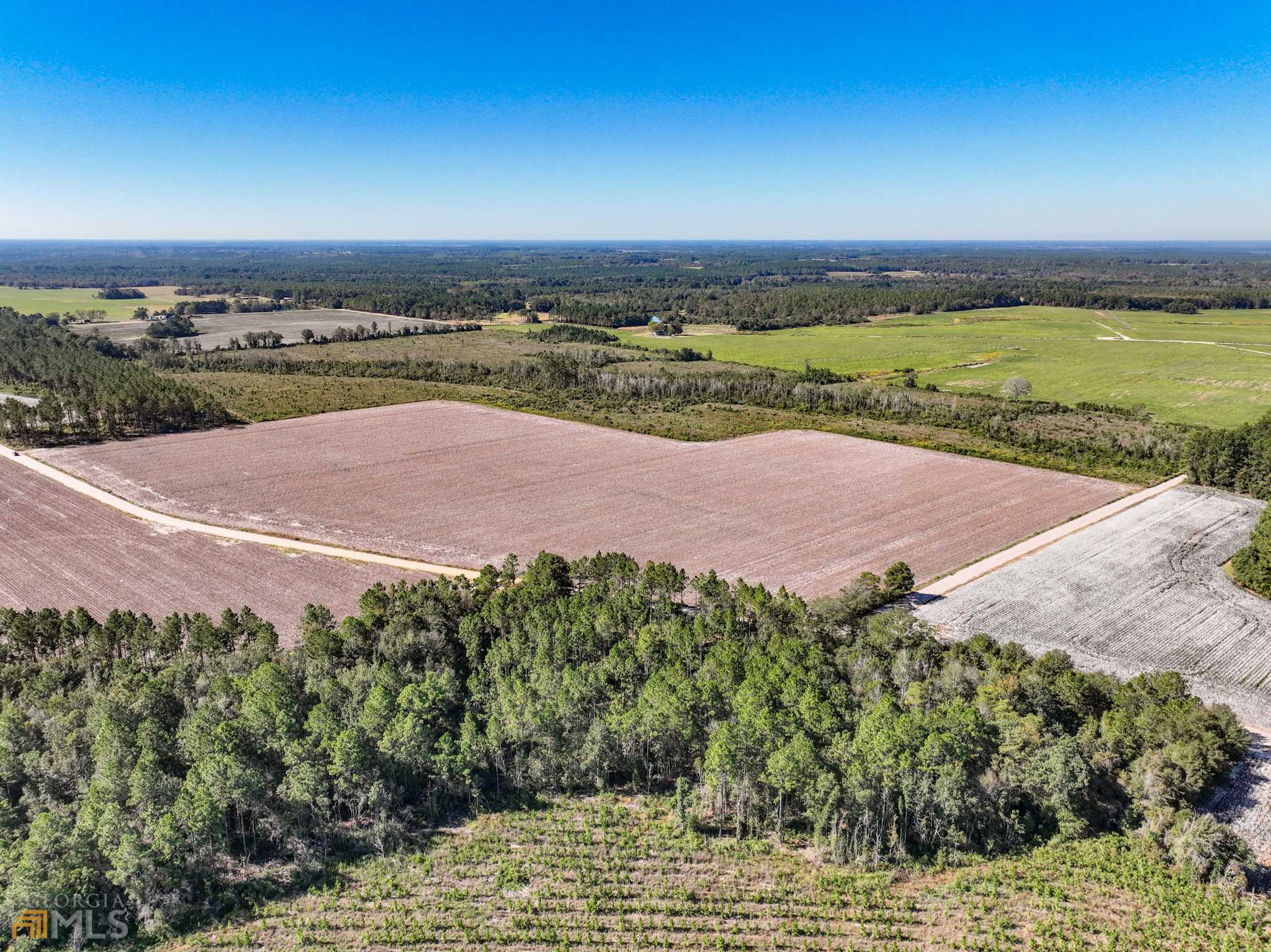 Hazlehurst, GA 31539,0 T M Mims