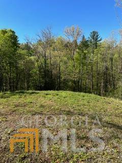 Ellijay, GA 30540,0 Pocola