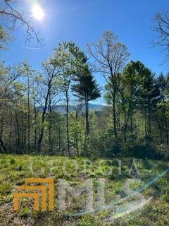 Ellijay, GA 30540,0 Pocola